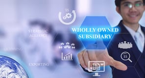 How Nonprofits Can Create For-Profit Subsidiaries