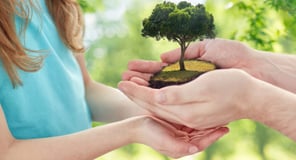 Keys_to_Protecting_an_Inheritance