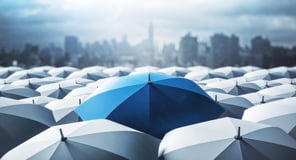 Necessary Insurance Needs for Nonprofits